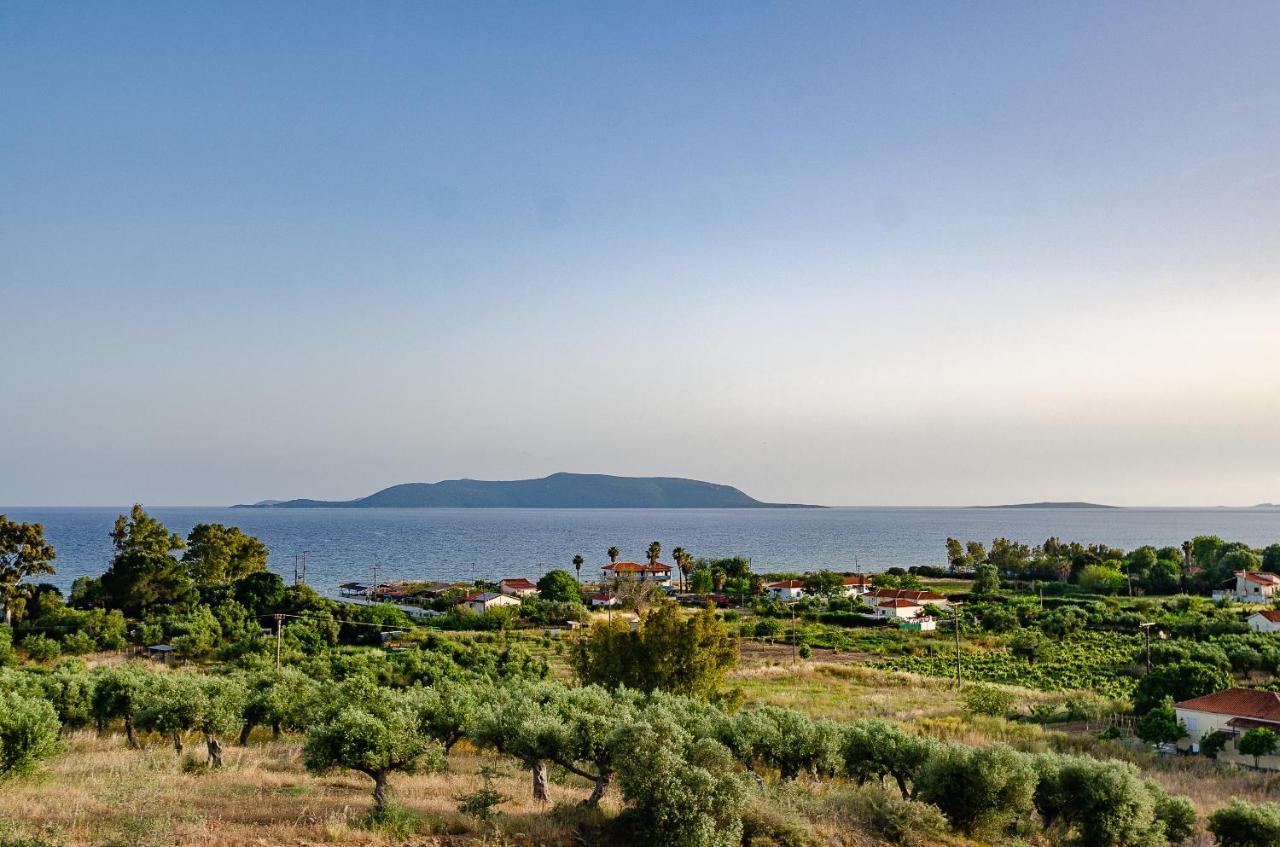 Salandore Blue Finikounta Exterior photo